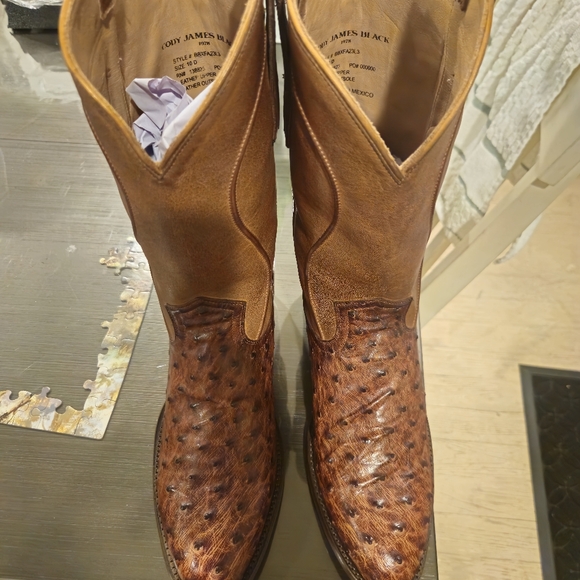Cody James Black 1978 Chapman Full-Quill Ostrich Western Boot Medium Toe Size 10 - Picture 5 of 9
